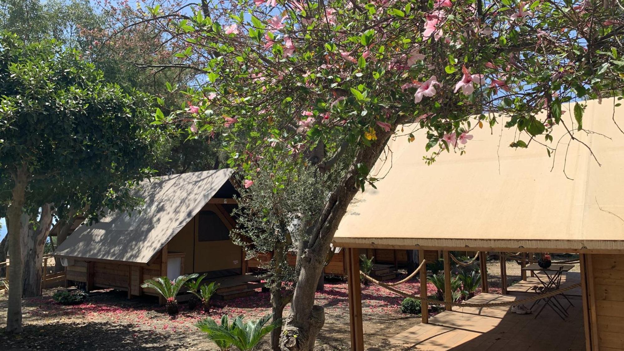 Il Pampaleone Glamping And Resort Ачиреале Экстерьер фото